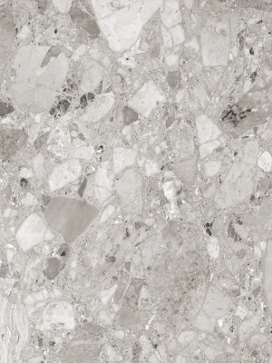 Glancētas flīzes TERRAZZO GREY, 60x60 cm, LE